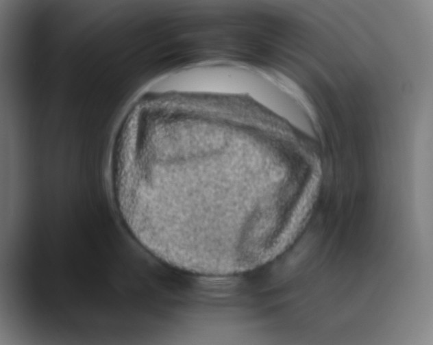 X0000088460863200706191328