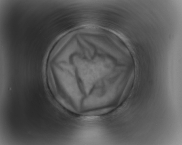 X0000088460864200706191328
