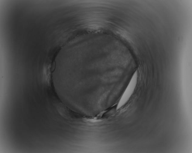 X0000088460868200706191327