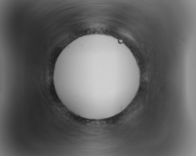 X0000088460869200706191327