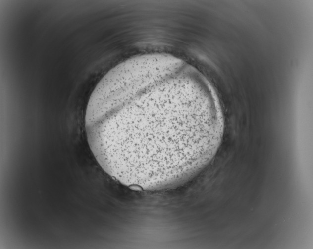 X0000088460870200706191327