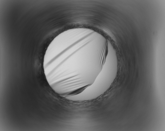 X0000088460872200706191327