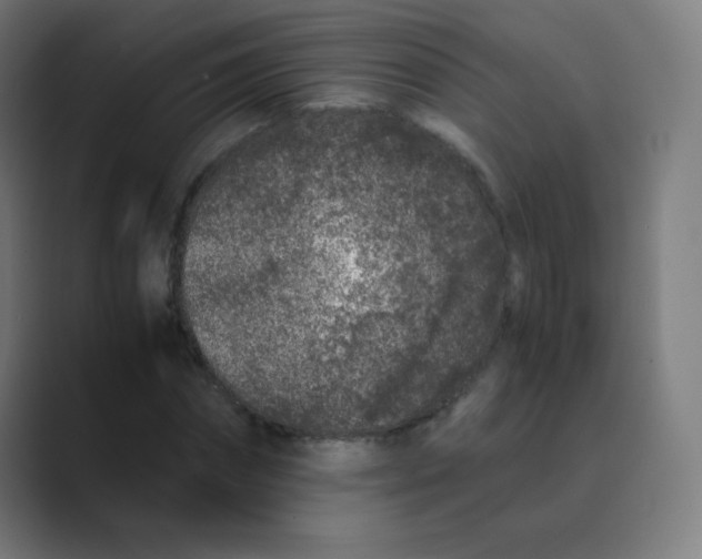 X0000088460874200706191327