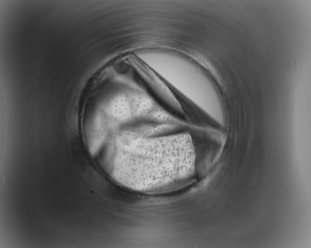 X0000088460877200706191327