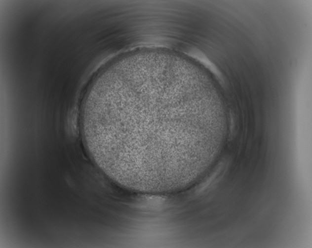 X0000088460878200706191327