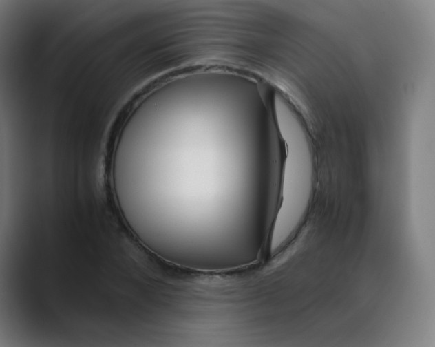 X0000088460880200706191327