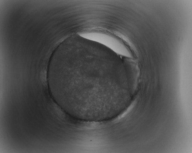 X0000088460881200706191327