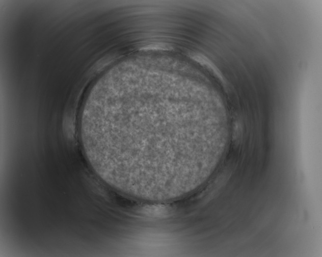 X0000088460882200706191327