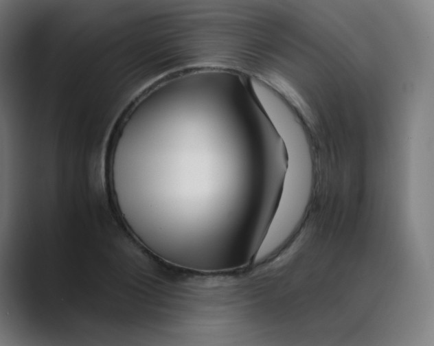 X0000088460884200706191327