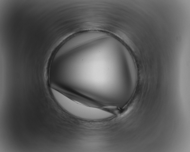 X0000088460885200706191327