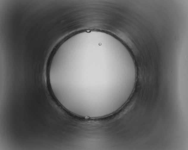 X0000088460888200706191327