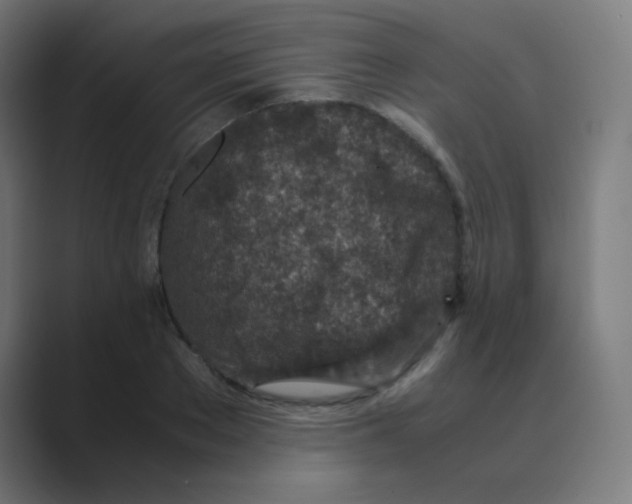 X0000088460889200706191327