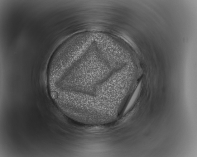 X0000088460891200706191327