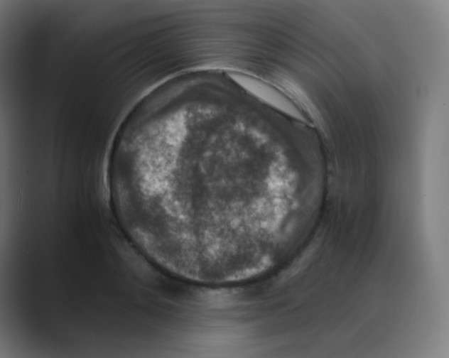 X0000088460892200706191327