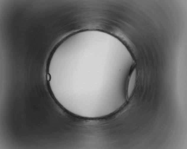 X0000088460894200706191327