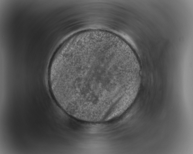 X0000088460895200706191327