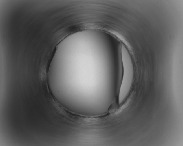 X0000088460897200706191327