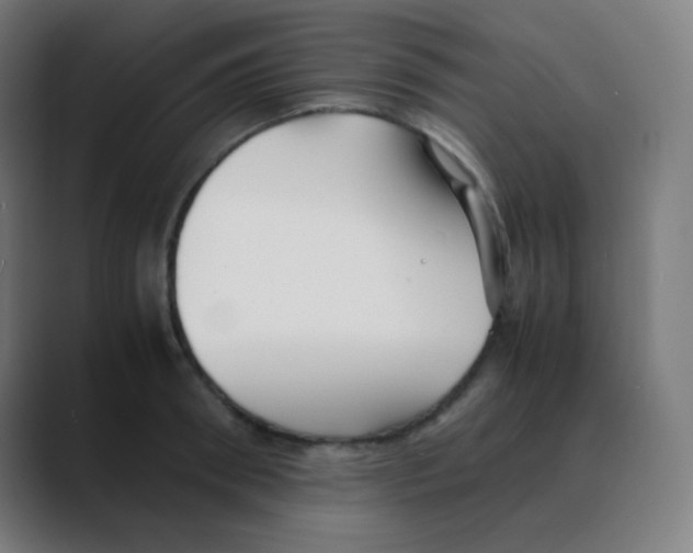 X0000088460898200706191327