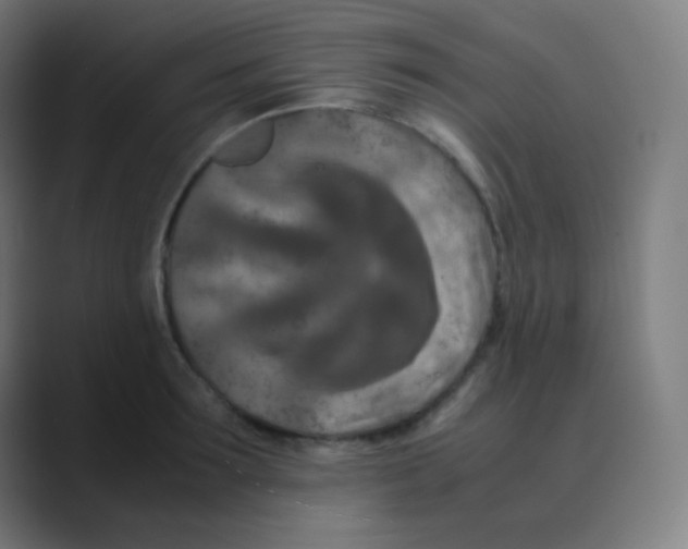X0000088460899200706191327