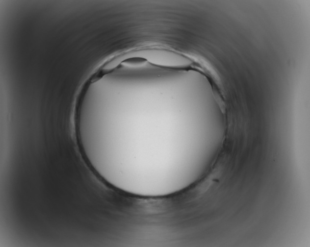 X0000088460902200706191327