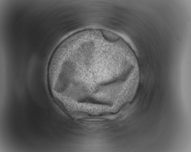 X0000088460903200706191327