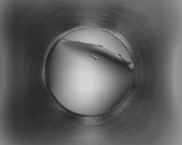 X0000088460904200706191327