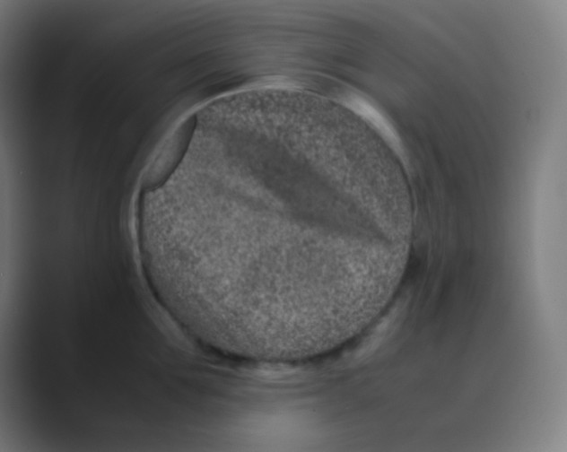 X0000088460907200706191327