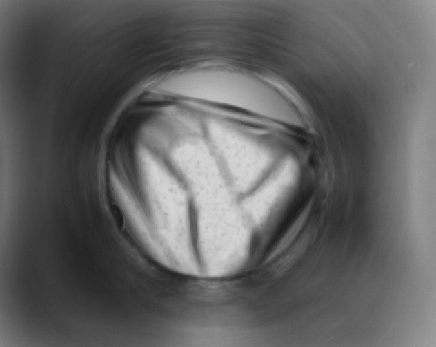 X0000088460910200706191327