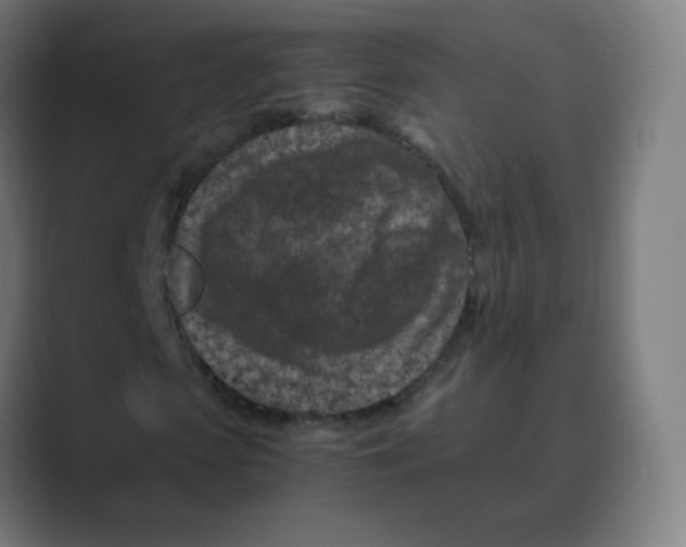 X0000088460913200706191326