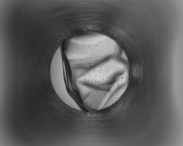 X0000088460915200706191326