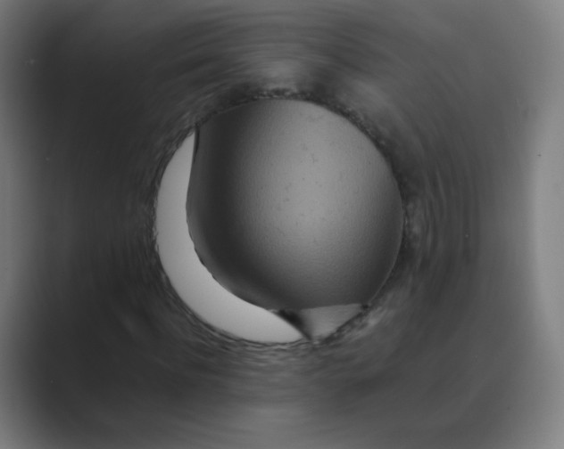 X0000088460916200706191326