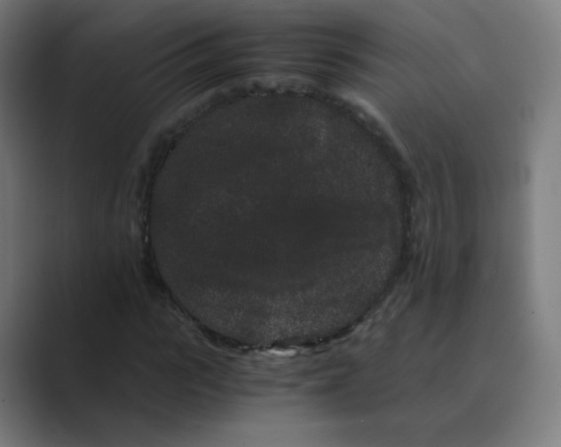 X0000088460919200706191326