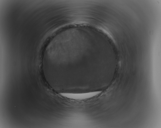X0000088460920200706191326