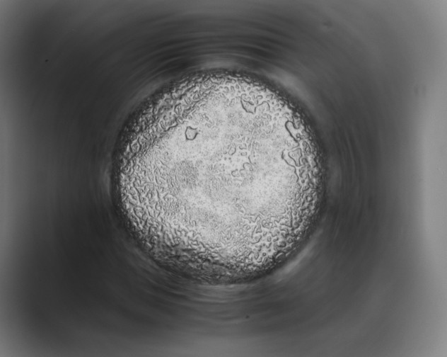 X0000088460921200706191326