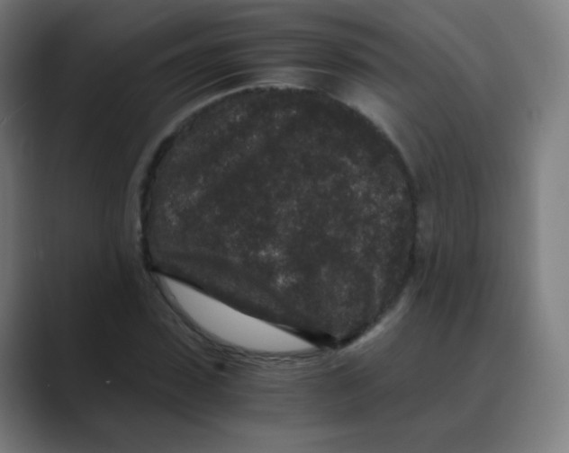 X0000088460923200706191326