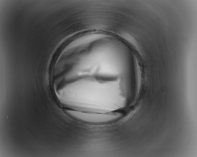 X0000088460924200706191326