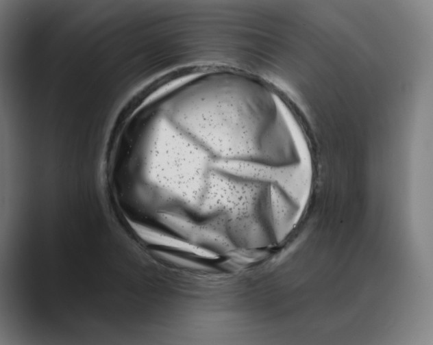 X0000088460928200706191326