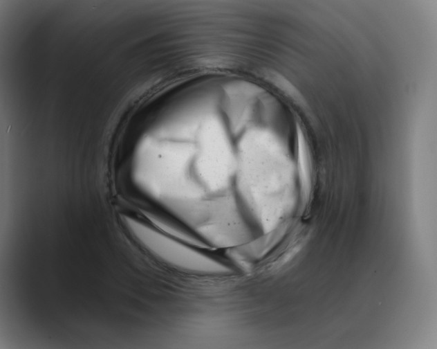 X0000088460930200706191326