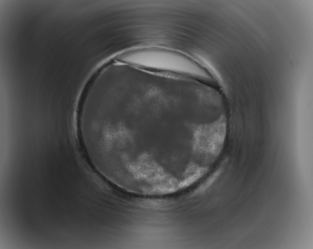 X0000088460932200706191326