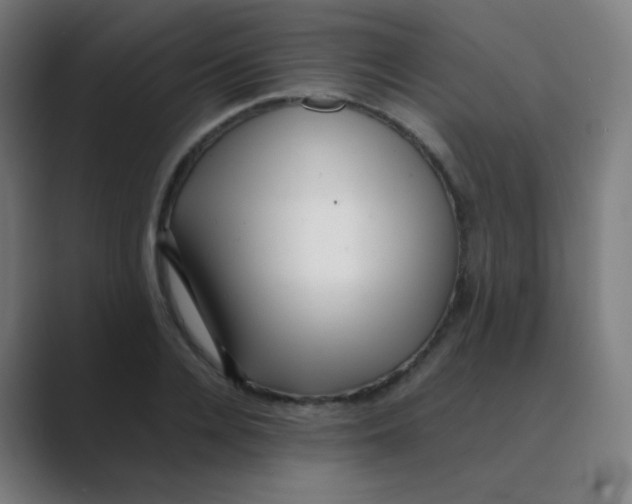 X0000088460936200706191326