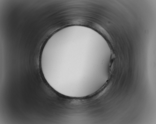 X0000088460938200706191326
