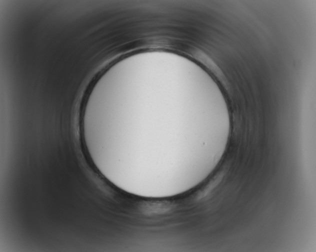 X0000088460939200706191326