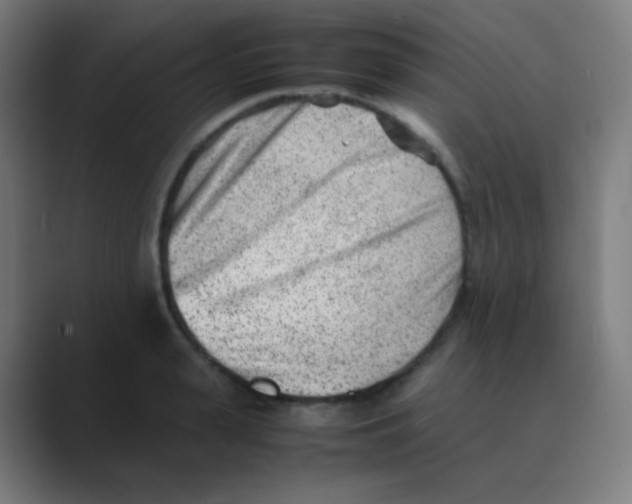 X0000088460943200706191326