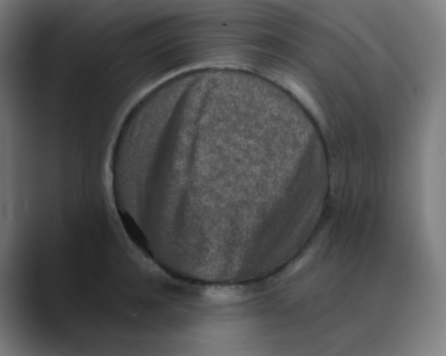 X0000088460944200706191326