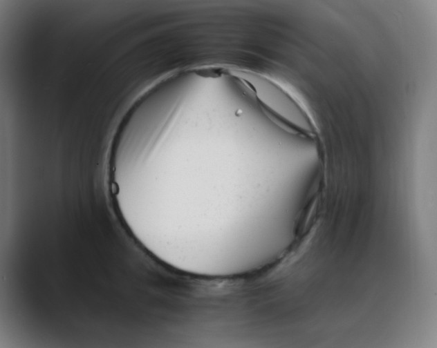 X0000088460949200706191327