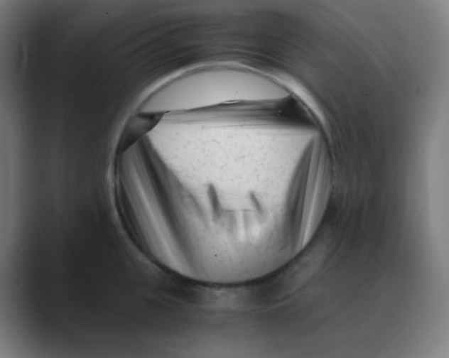 X0000088460951200706191327