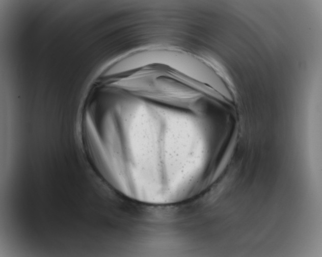X0000088460952200706191327