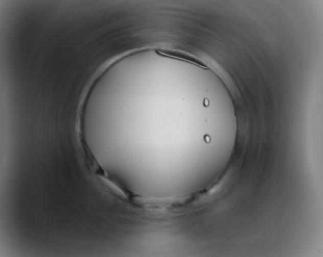 X0000088460956200706191327