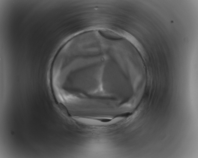 X0000088460958200706191327