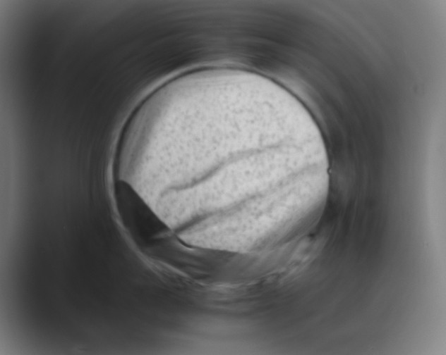 X0000088460959200706191327